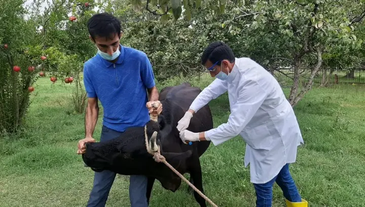 Goranboy rayonunda profilaktik tədbirlər davam etdirilir