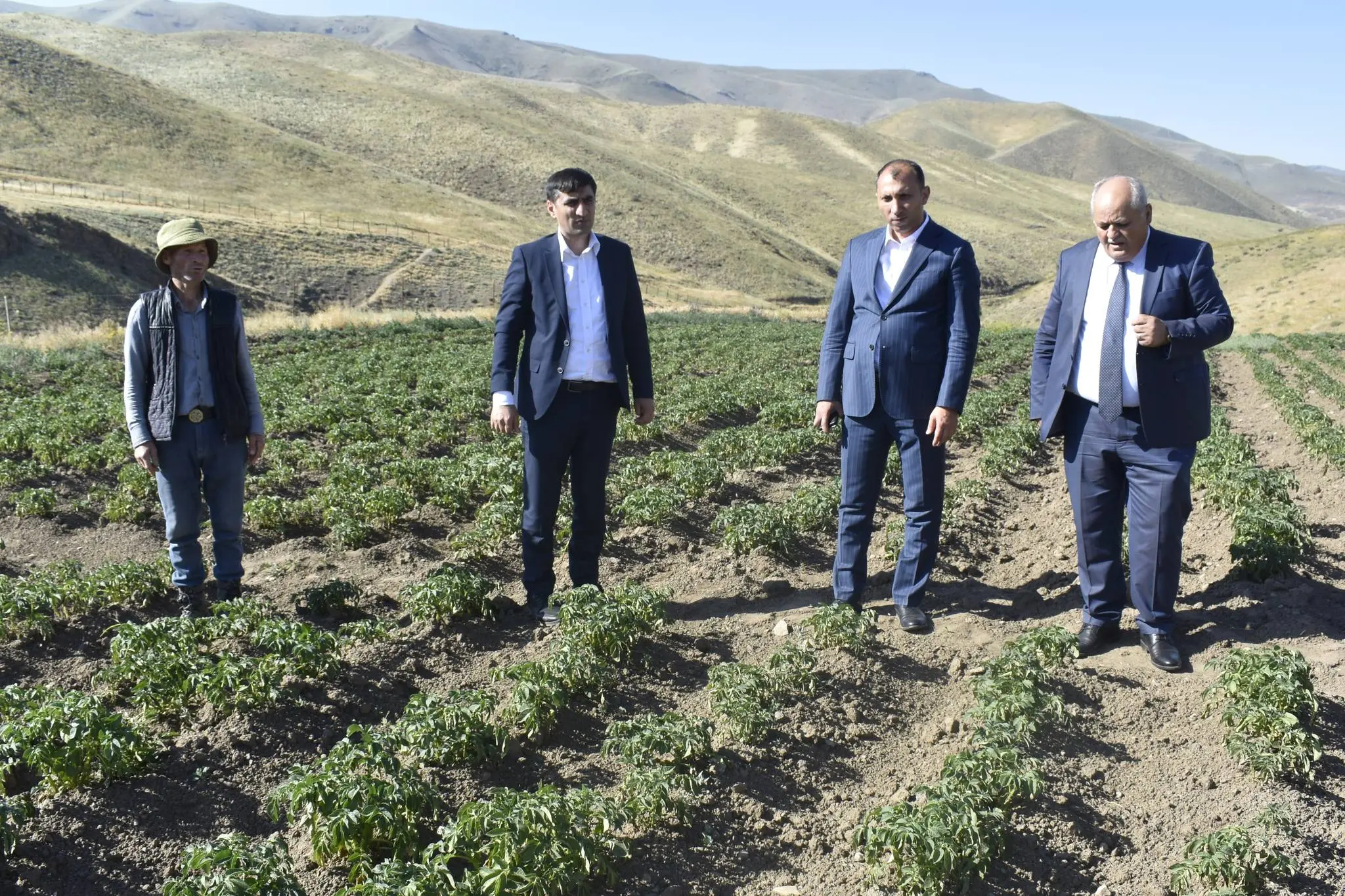Aqrar Xidmətlər Agentliyinin sədri Sərdar Hacıyev Yardımlıda vətəndaşları qəbul edib, təsərrüfatlara baş çəkib