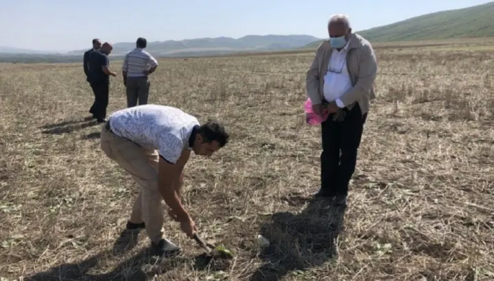 Oğuzda heyvanların kütləvi zəhərlənməsinin qarşısı alınıb