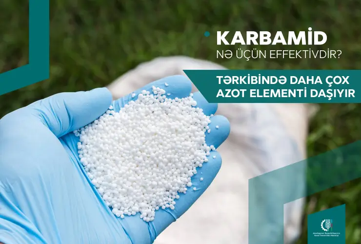 Karbamid gübrəsini necə düzgün istifadə etməli? - FERMERLƏRƏ TÖVSİYƏ