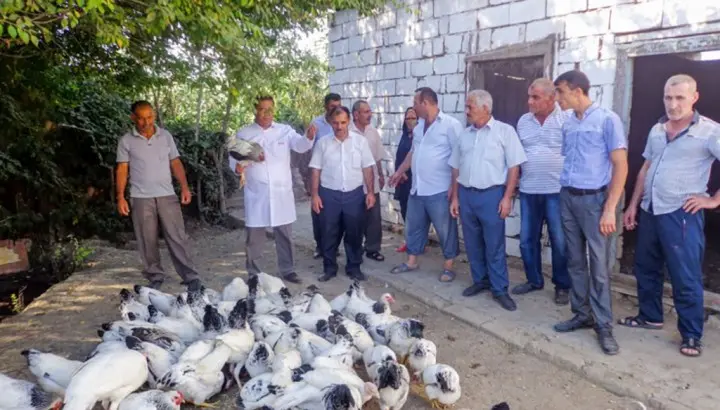 Salyanda quşçuluqla məşğul olan fermerlərə təlim keçirilib