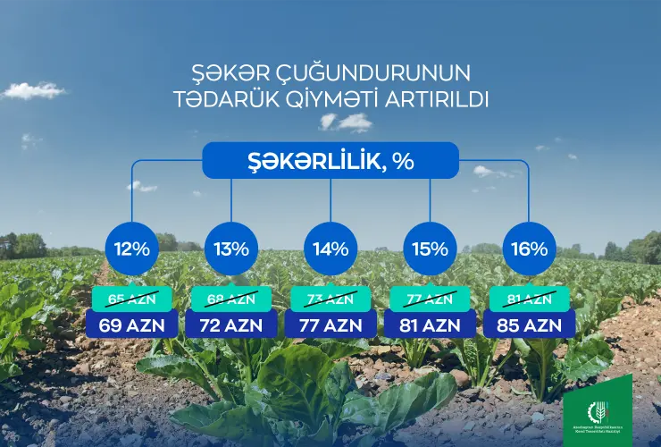 Fermerlərə müjdə: Şəkər çuğundurunun tədarük qiyməti artırılıb