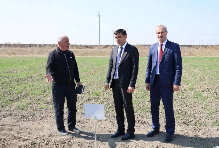 Aqrar Xidmətlər Agentliyinin sədri Sərdar Hacıyev Salyanda vətəndaşları qəbul edib, təsərrüfatlara baş çəkib