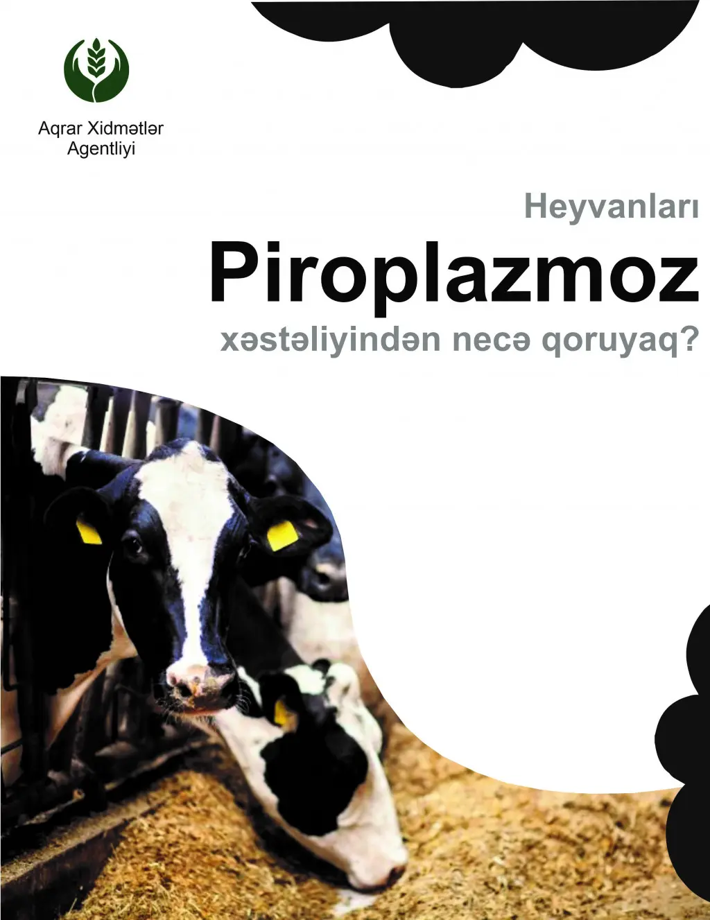 QARAMALIN PİROPLAZMOZ XƏSTƏLİYİNDƏN QORUNMASINA DAİR TÖVSİYƏ