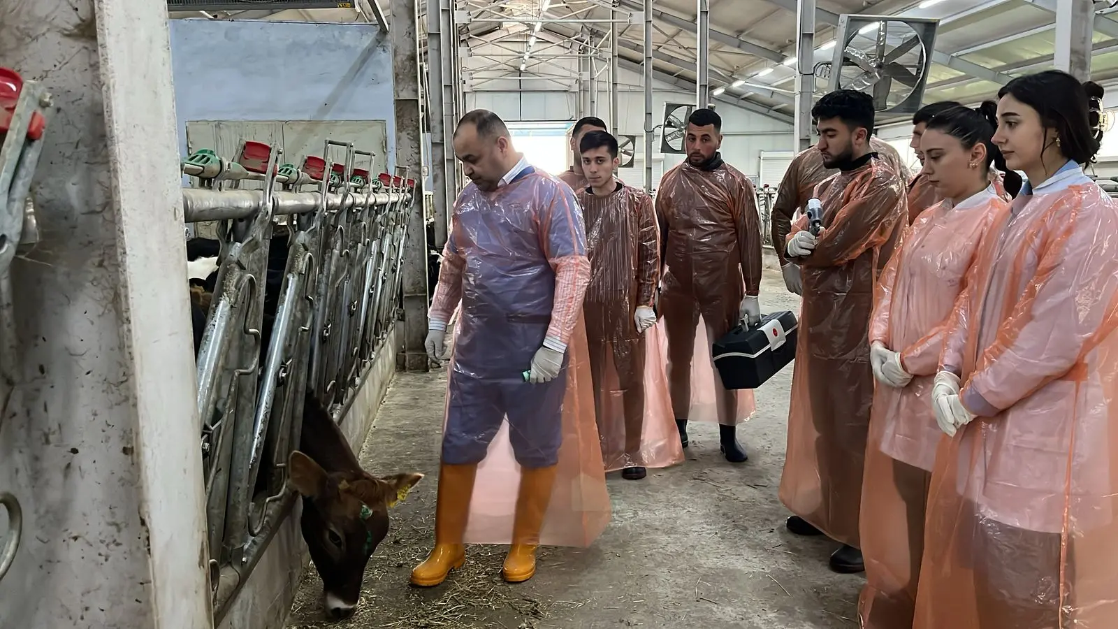 Gənc baytar mütəxəssisləri təlimlərə cəlb olunub
