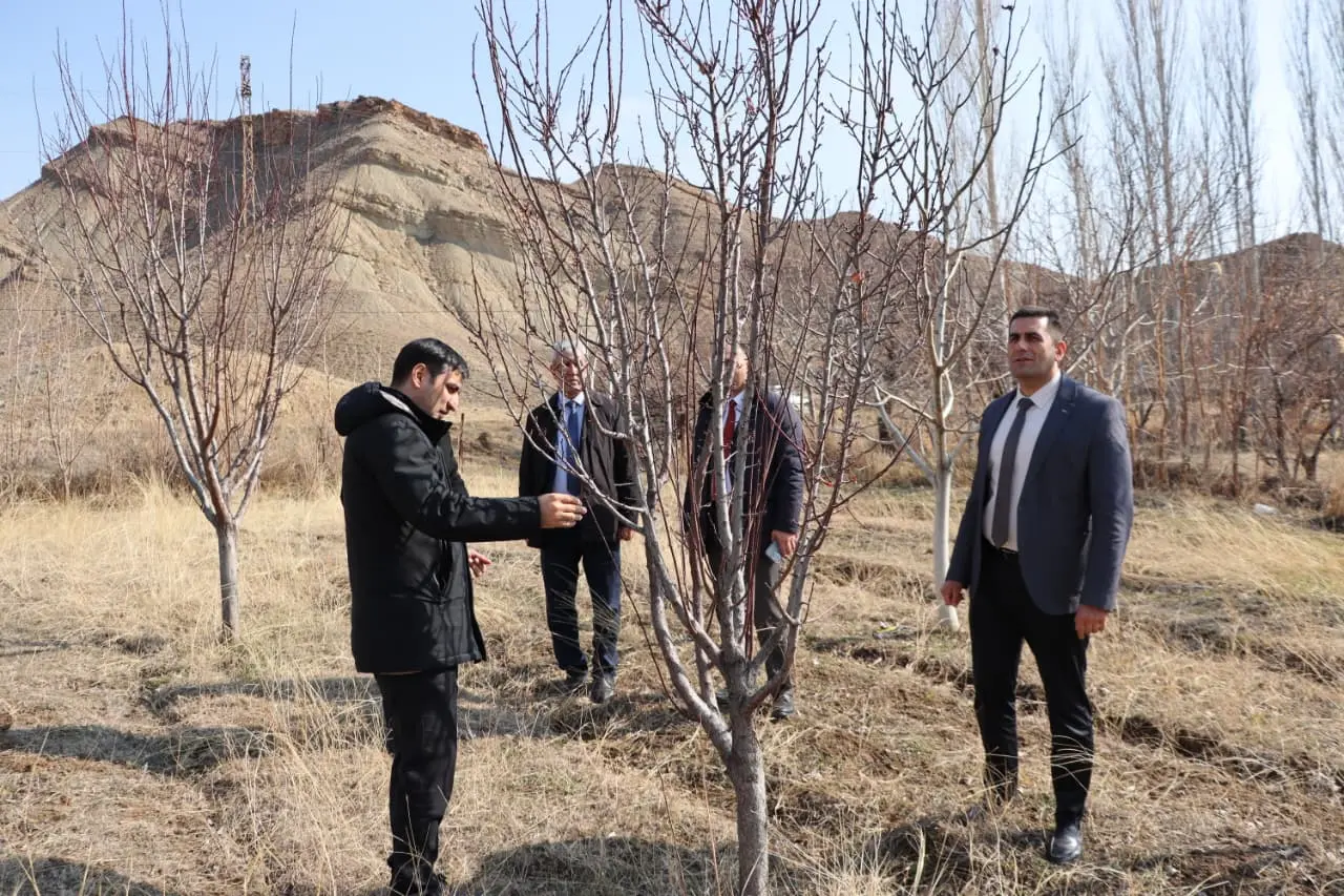 Aqrar Xidmətlər Agentliyinin sədri Sərdar Hacıyev Ordubadda vətəndaşları qəbul edib, təsərrüfatlara baş çəkib