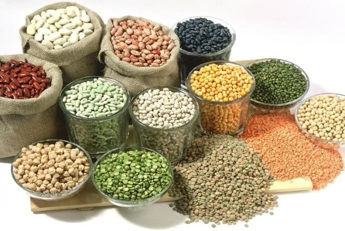 Dövlət Reyestrinə yeni sort/hibrid və cinslər daxil edilib