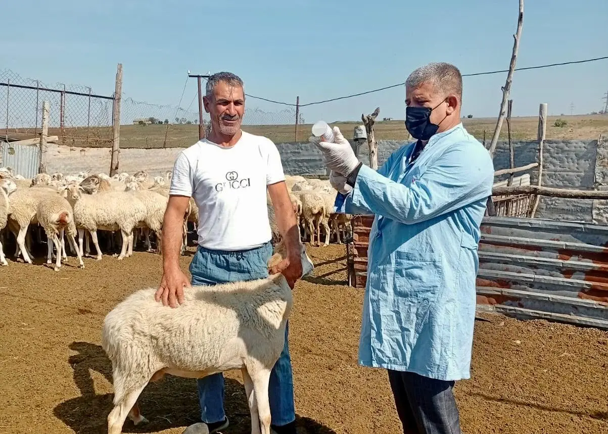 Ölkədə epizootik sabitliyin qorunması istiqamətində tədbirlər davam etdirilir
