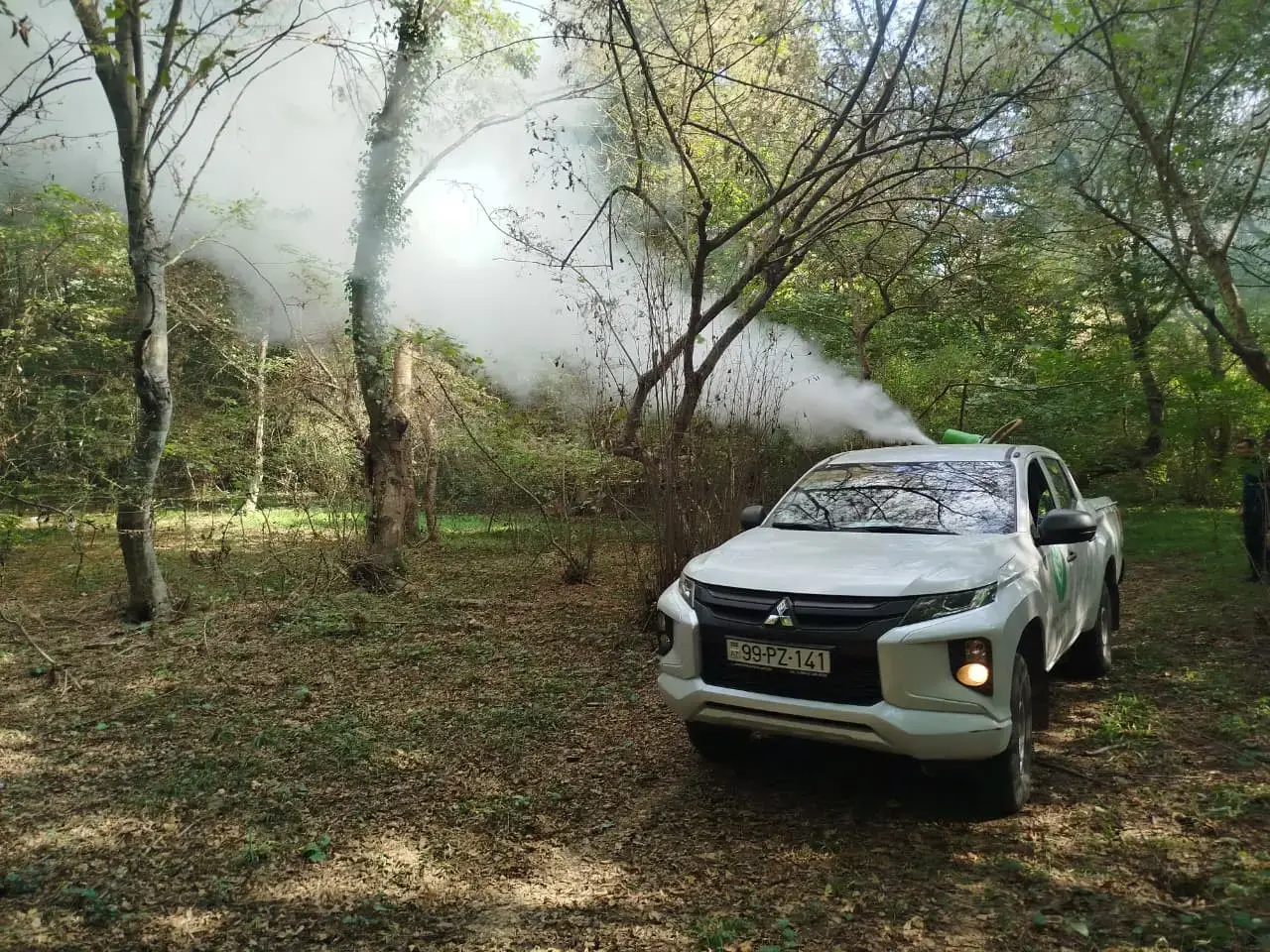 Zaqatalada Amerika Ağ kəpənəyinə qarşı mübarizə tədbirləri həyata keçirilir