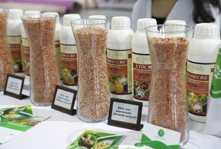 Şamaxıda mövsümün ilk toxum sərgi-satış yarmarkası və Aqrar Biznes Festivalı keçirilib