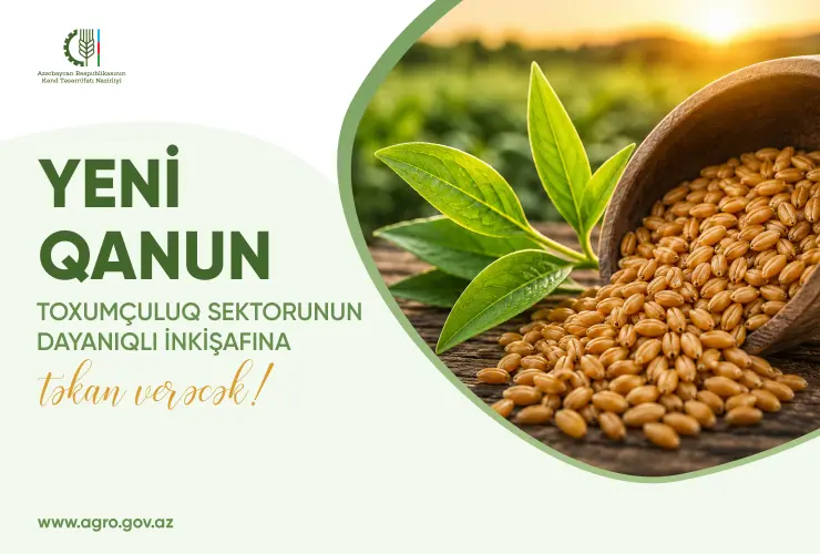 Yeni Qanun toxumçuluq sektorunun dayanıqlı inkişafına təkan verəcək