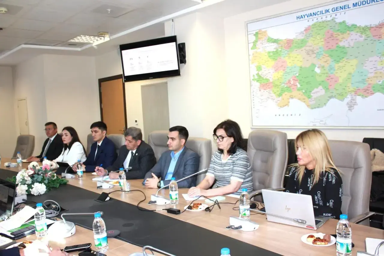 Türkiyə Respublikasına işgüzar səfər həyata keçirilib