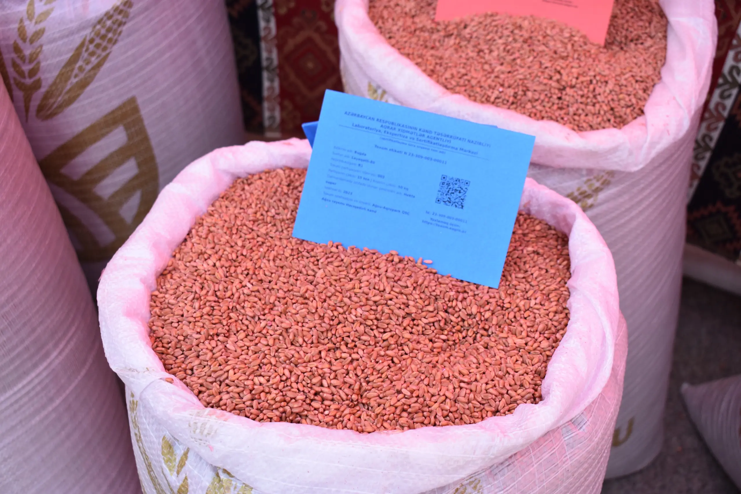 Toxumun dərmanlanmasının əhəmiyyəti