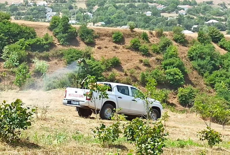 Bölgələrdə çəyirtkələrə qarşı mübarizə tədbirləri davam etdirilir