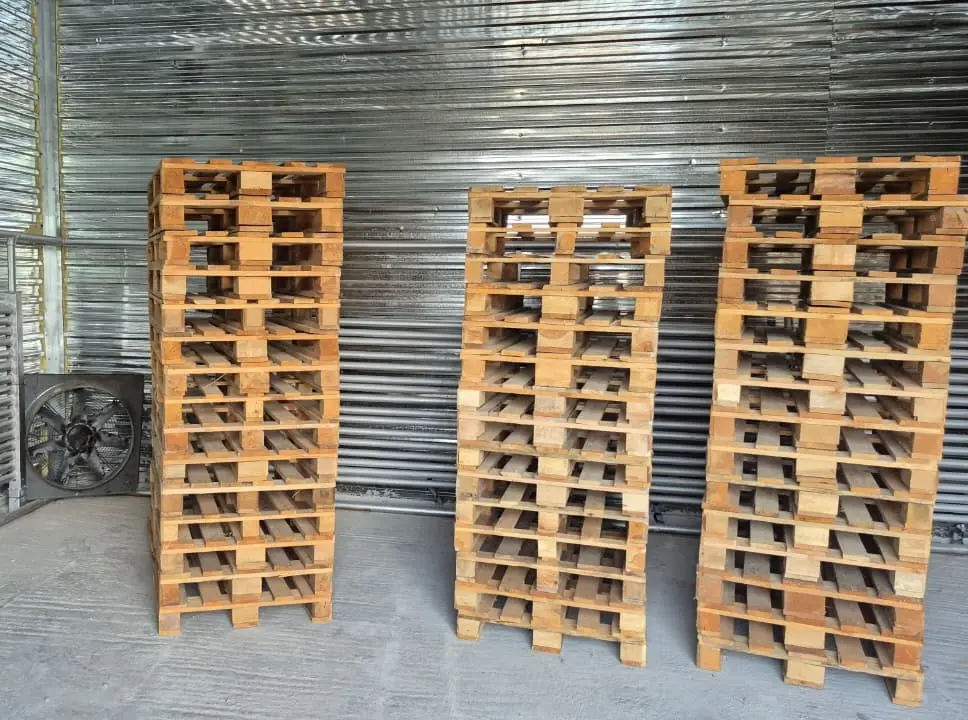 Termiki üsulla fumiqasiya (zərərsizləşdirmə) tədbirləri