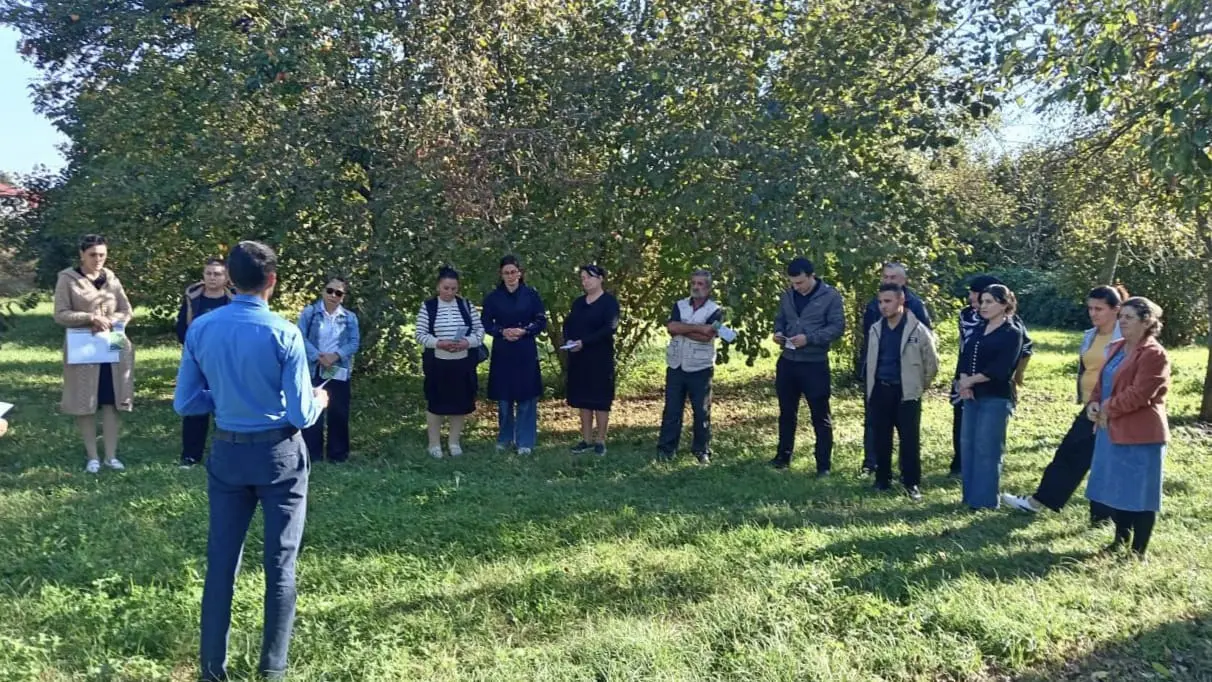 AXA qəhvəyi mərmər bağacığına qarşı mübarizə tədbirlərini davam etdirir