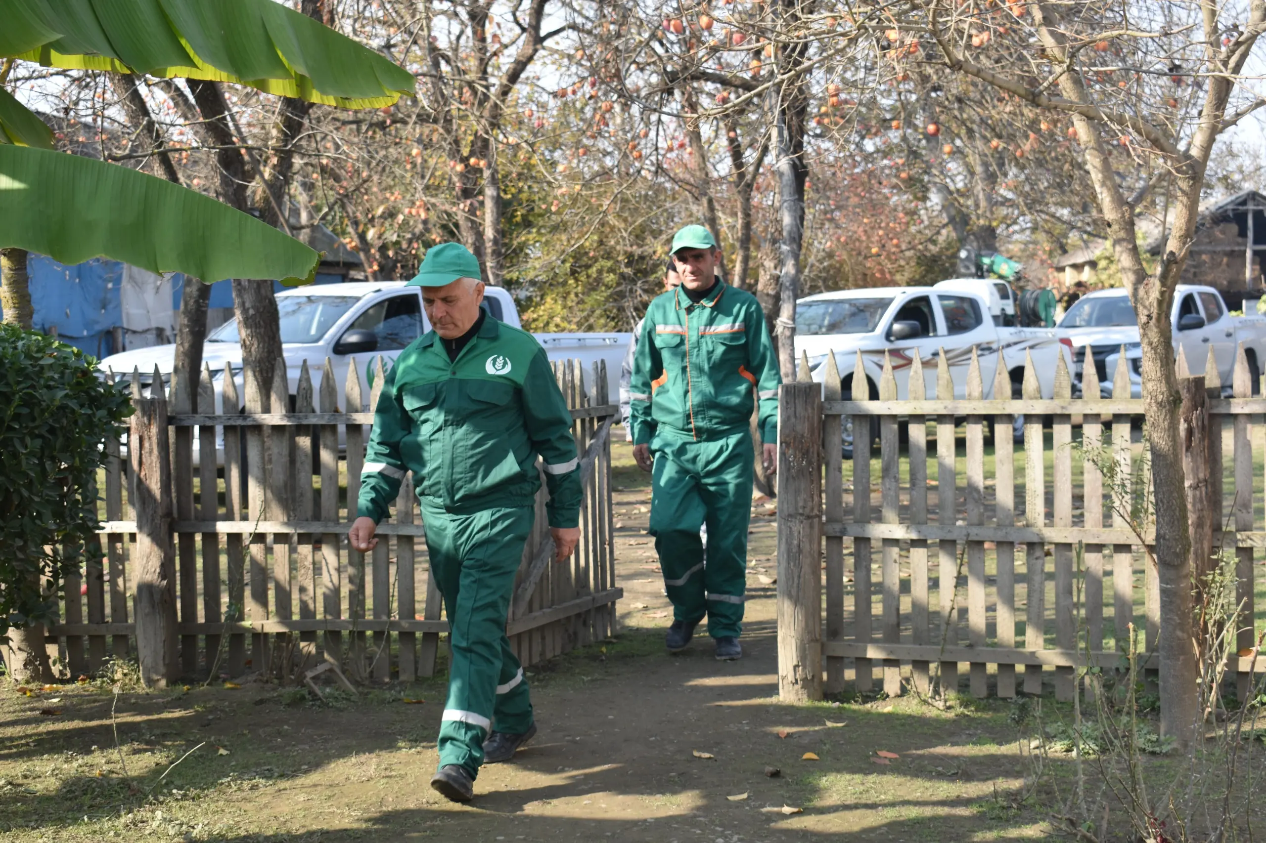 Bölgələrdə qəhvəyi mərmər bağacığına qarşı mübarizə tədbirləri davam edir