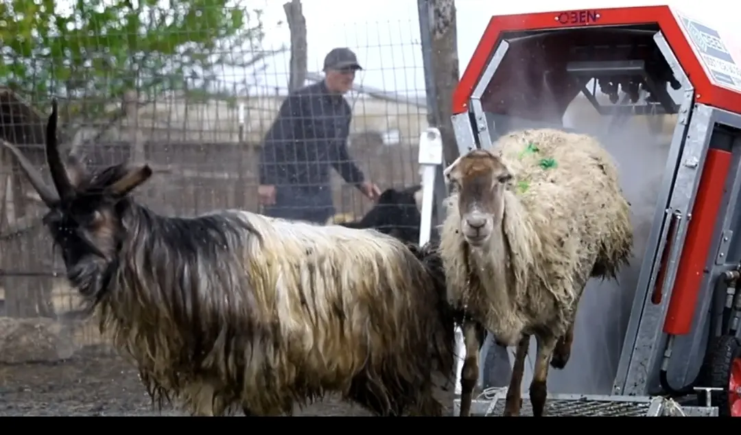 AXA-dan heyvan xəstəliklərinin profilaktikasına yeni yanaşma