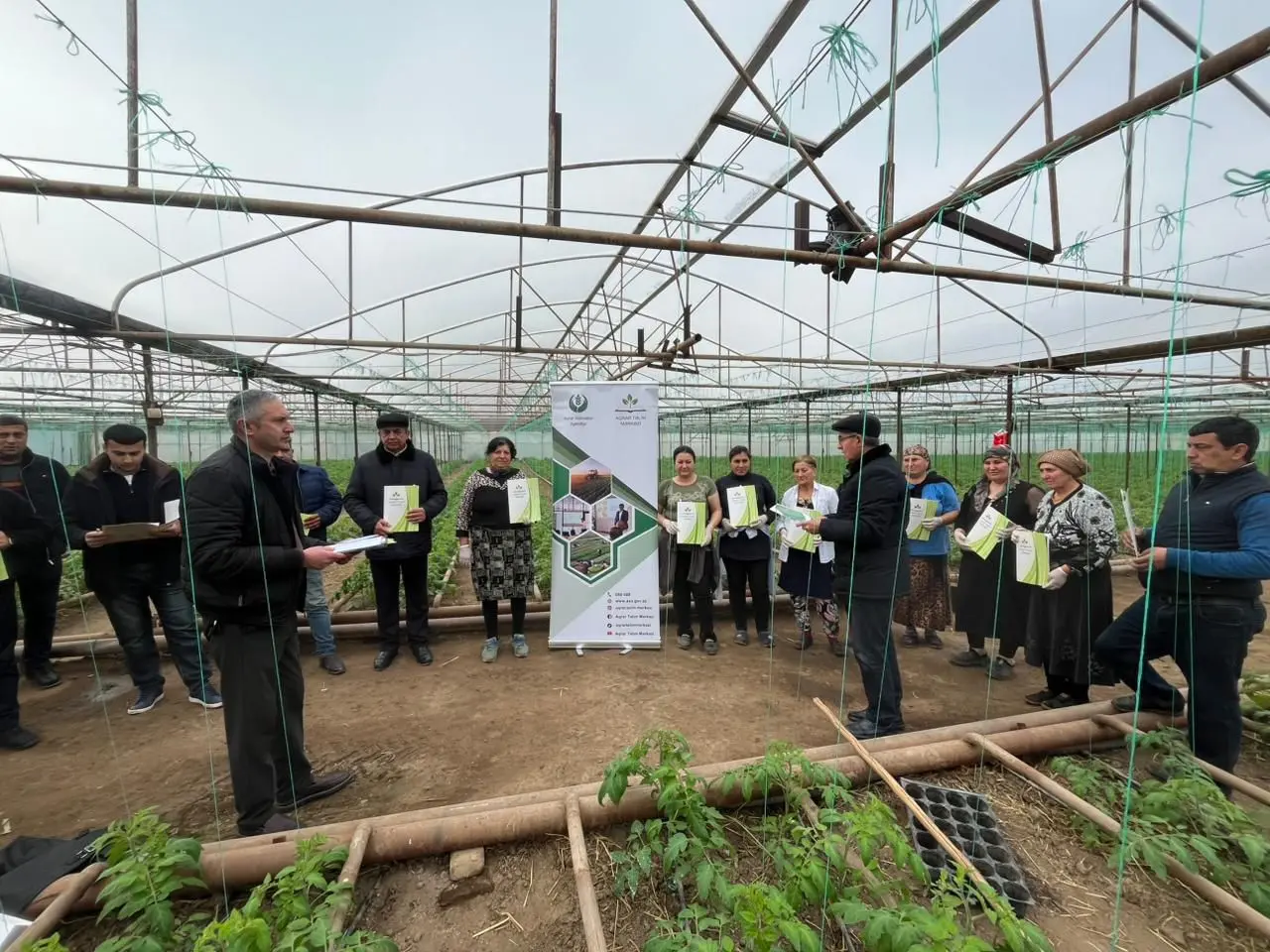 Aqrar Təlim Mərkəzi tərəfindən bölgələrdə qəhvəyi mərmər bağacığı ilə bağlı maarifləndirmə tədbirləri davam etdirilir