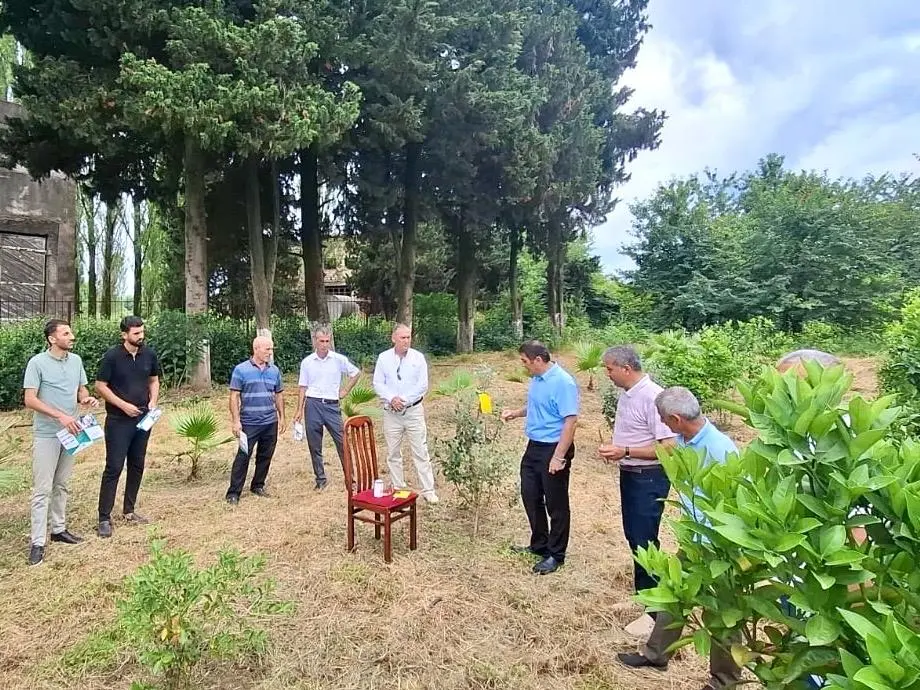 Astarada feyxoa bağlarının salınması ilə bağlı sahə görüşü keçirilib