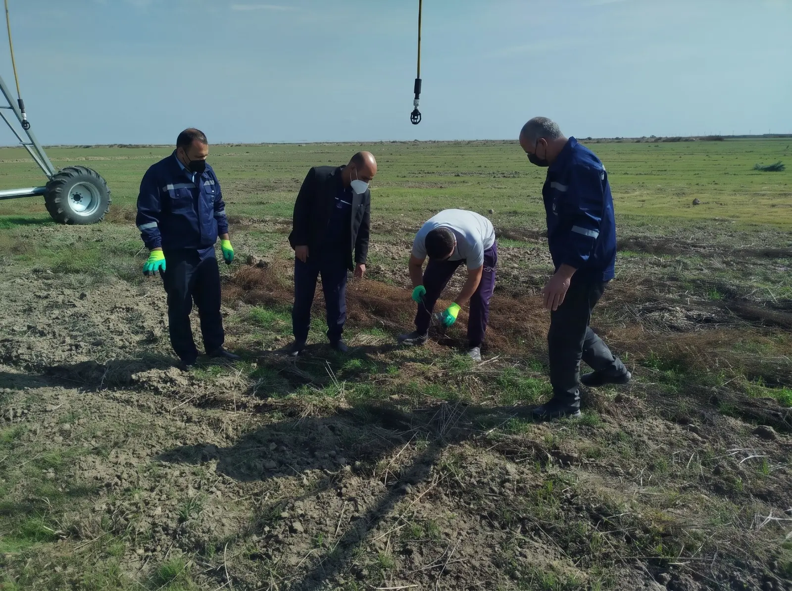 Ölkə ərazisində çöl siçanlarına qarşı 47 min hektardan çox ərazidə mübarizə tədbirləri aparılıb